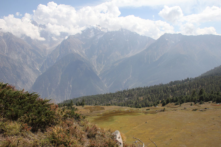 Des pâturages à mi-montagne surplombés par le mont Kailash. Rekong Peo, Himachal Pradesh