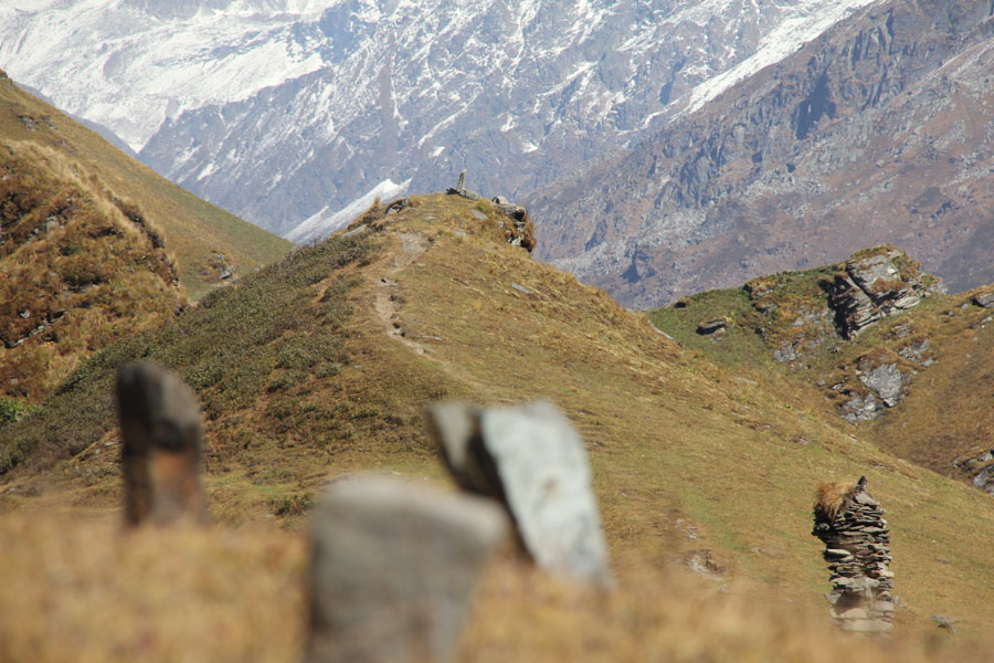 Le sentier passant par le col du Chandrakhani. Chandrakani, Himachal Pradesh