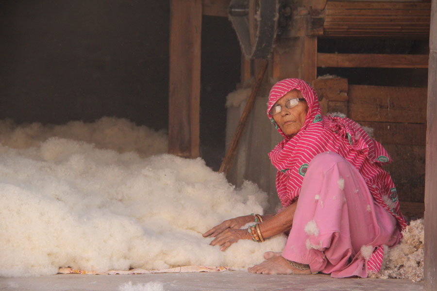 Une vielle femme travaille dans un entrepôt de coton. Bikaner, Rajasthan