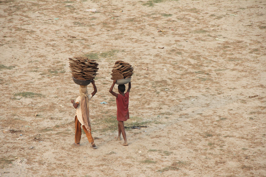 Des enfants portent des bouses de buffles sur les rives de la rivière Yamuna. Agra, Uttar Pradesh