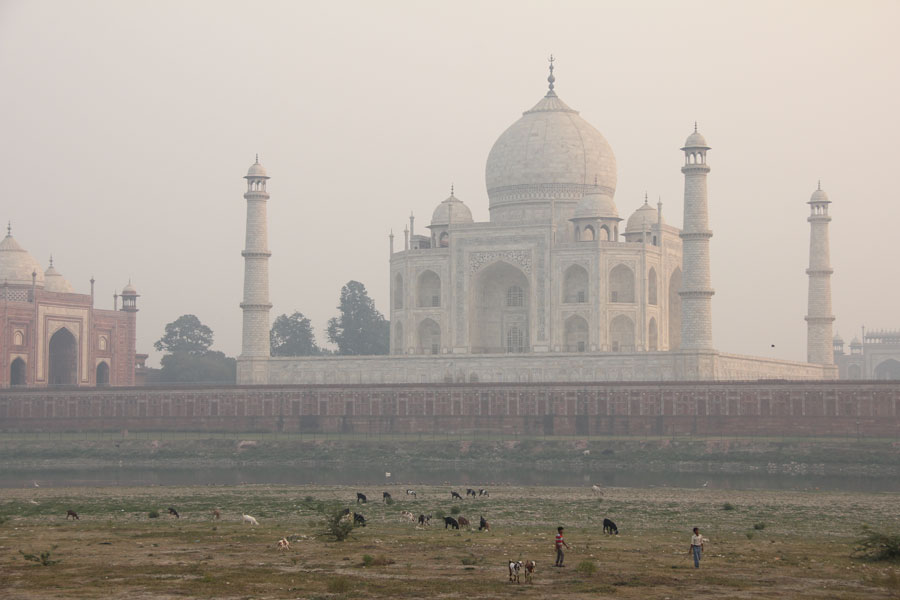 Le Taj Mahal et des enfants s'occupent de leurs chèvres sur les rives de la rivière Yamuna. Agram Uttar Pradesh